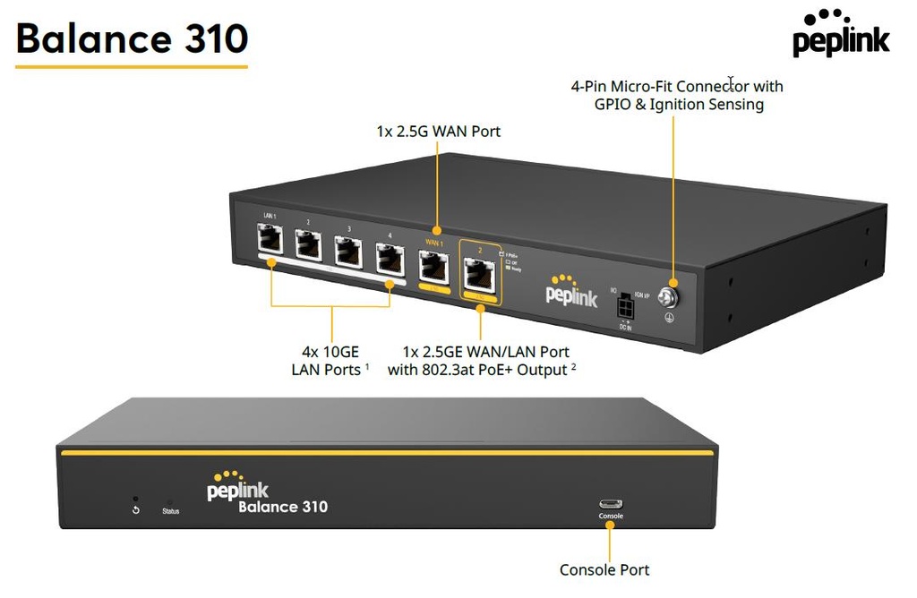 Peplink Balance 310 - Dual 2.5 G WAN, 4 GB Throughput